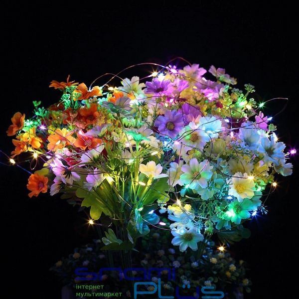 Гирлянда светодиодная ColorWay "Роса", 100 LED, разноцветная, 10 м, USB (CW-G-100L10NUMC) 297108 фото