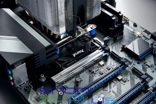 Твердотельный накопитель SSD 4Tb, Kingston FURY Renegade G5, PCI-E 5.0 x4, M.2 (SFYR2S/4T0) 306544 фото