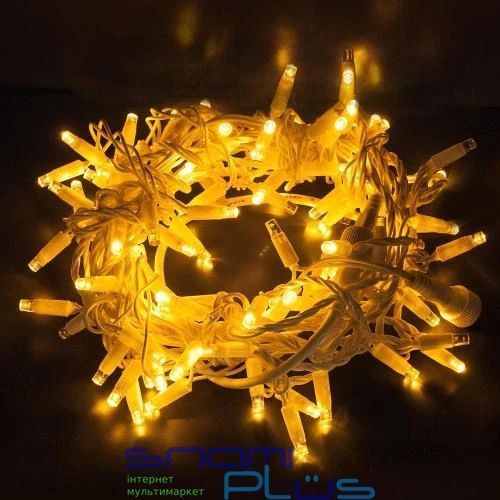 Гірлянда вулична світлодіодна ColorWay, White (теплий), 100LED, 10м, 220V (CW-GO-100L10WW) 235946 фото