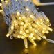 Гірлянда вулична світлодіодна ColorWay, White (теплий), 100LED, 10м, 220V (CW-GO-100L10WW) 235946 фото 2