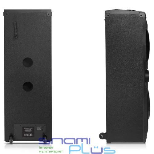 Колонка портативная 2.0 REAL-EL S-2005, Black, 500 Вт (EL121600033) 329463 фото