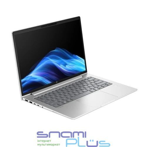 Ноутбук 14" HP ProBook 4 G1a 14 (AX6J0AV_V9) Pike Silver, AMD Ryzen 7 250, 24Gb, 1Tb, 780M, DOS 330414 фото
