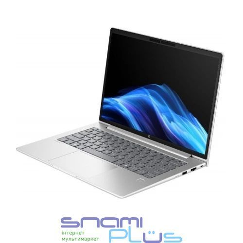 Ноутбук 14" HP ProBook 4 G1a 14 (AX6J0AV_V9) Pike Silver, AMD Ryzen 7 250, 24Gb, 1Tb, 780M, DOS 330414 фото