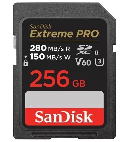 Карта памяти SDXC, 256Gb, SanDisk Extreme PRO (SDSDXEP-256G-GN4IN) 270553 фото
