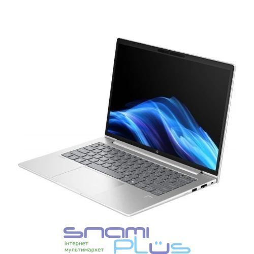 Ноутбук 14" HP ProBook 4 G1ah 14 (AW7H4AV_V5) Pike Silver, AMD Ryzen 5 220, 24Gb, 512GB, Win11P 323427 фото