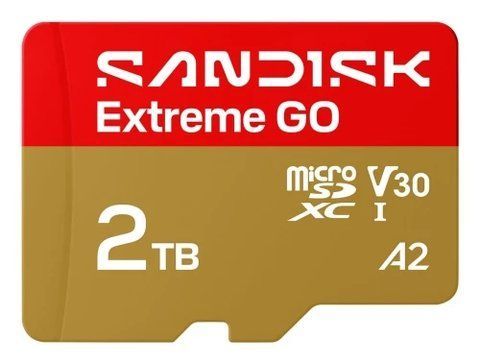 Карта пам'яті microSDXC, 2Tb, SanDisk Extreme GO, без адаптера (SDSQXGN-2T00-GN6MN) 330549 фото