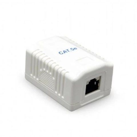 Розетка RJ45 (сетевая), 1-портовая UTP, белая, 5E категория, Cablexpert (NCAC-1U5E-01) 218675 фото