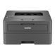 Принтер лазерний ч/б A4 Brother HL-L2442DW, Black 306473 фото 2