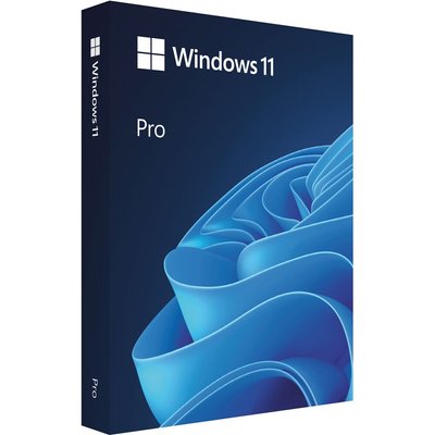 ПЗ Windows 11 Professional 32/64-bit Мультимовна, Box (HAV-00162) 265544 фото